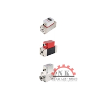 一體式流量溫度傳感器 NK500標(biāo)準(zhǔn)系列樣式可選